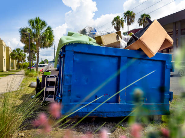 Best Attic Cleanout  in Fern Acres, HI